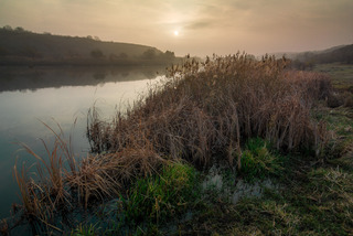 Оттенки утра