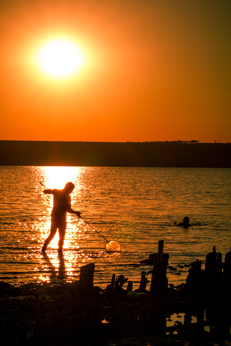 Ловля звезд