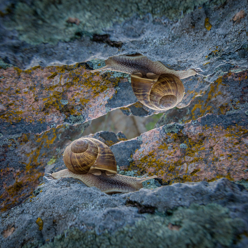 Не параллельный мир