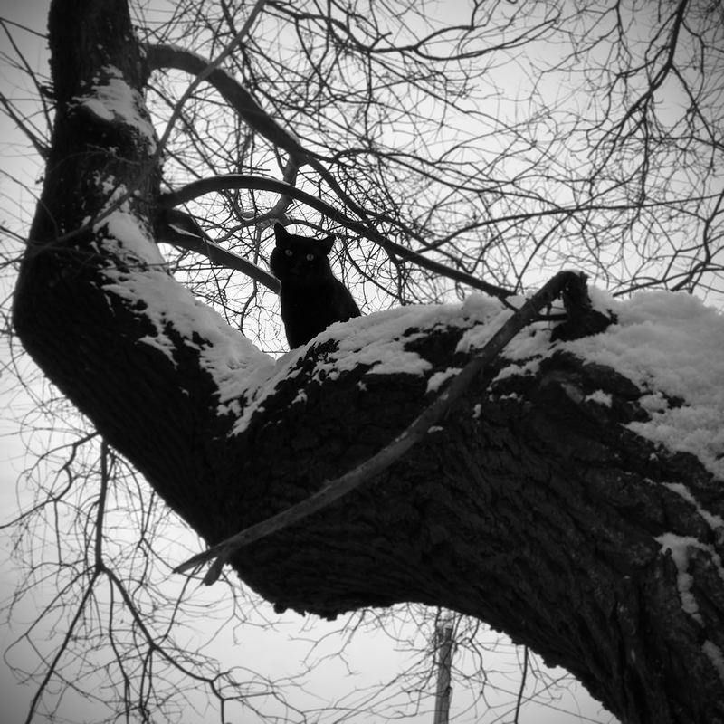 Портрет в интерьере