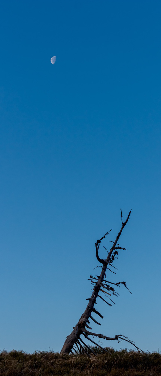 Притяжение