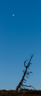 Притяжение