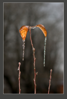 Weather in January 2