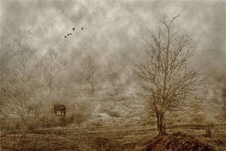 Outskirts of the village