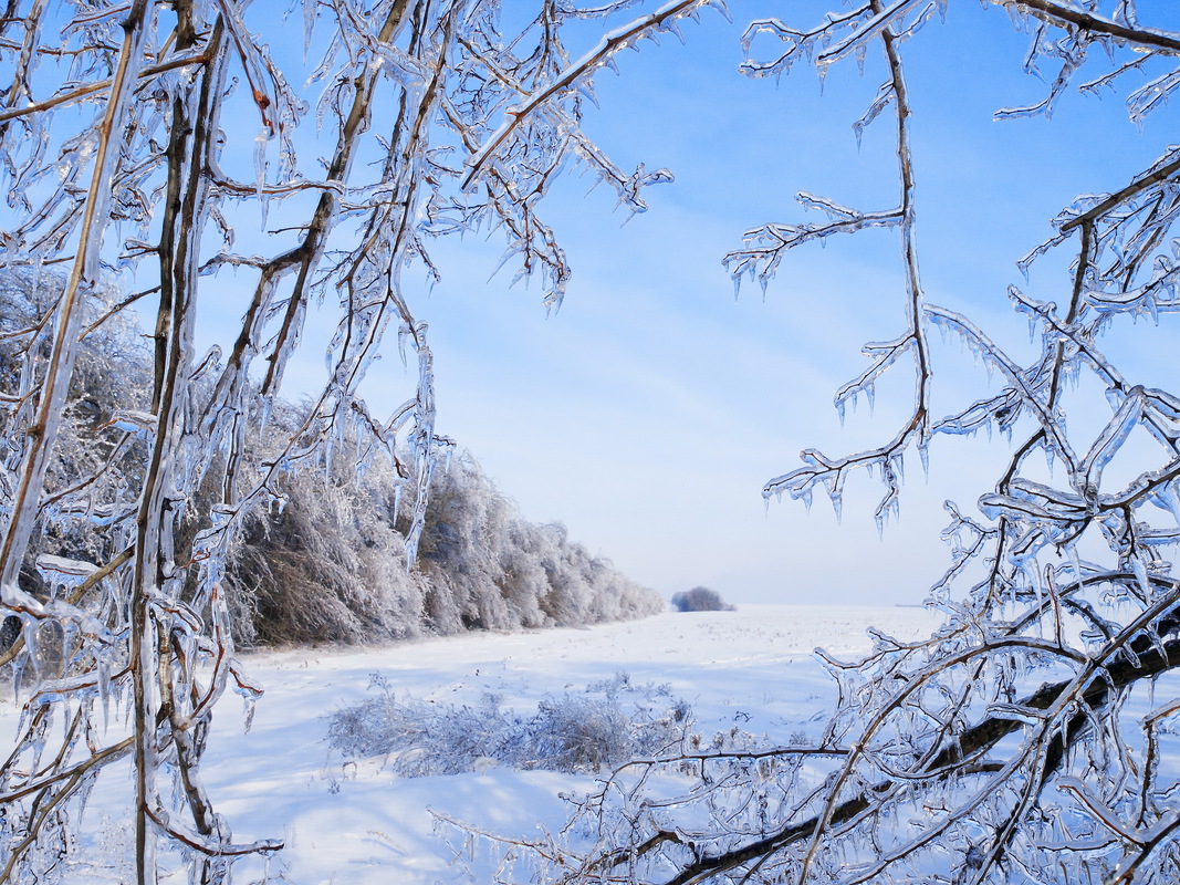 Ледяная зима.