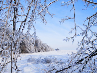 Ледяная зима.