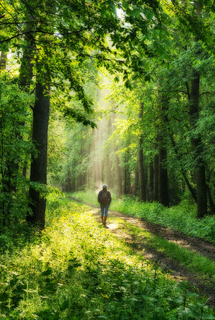 в гармонії з природою