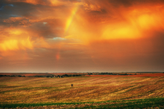 один в полі