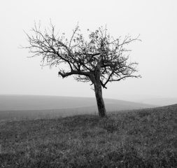 самотність