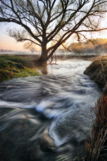 весняний ранок