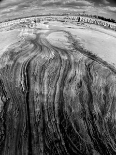 Черные реки