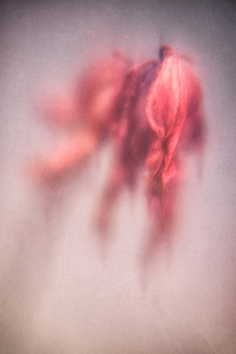 Вуайеристичне