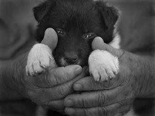 The heat of human hands