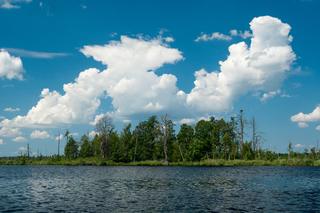 Україна_Чекановський Андрій_заповідне Черемське озеро на Волині