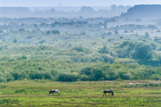 Долина ріки Стир на Волині