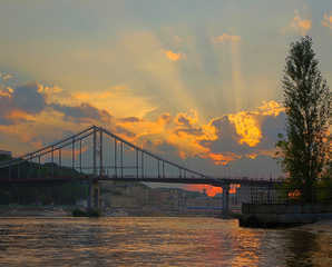 Золоте світло