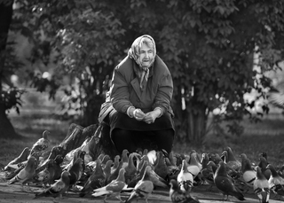 Woman and pigeons