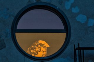 Пташка в клітці