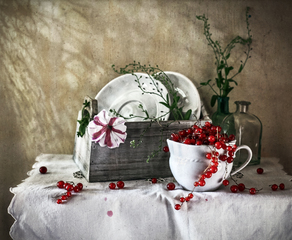 Лето на даче