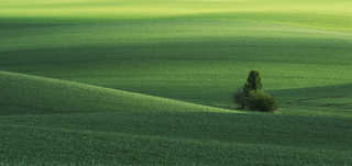 Травнева Волинь