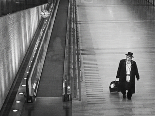 Life taught to hurry slowly