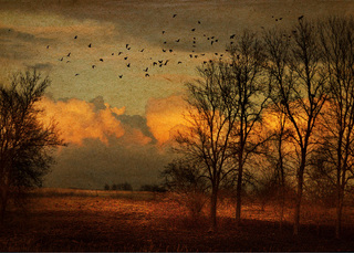 Останні теплі дні