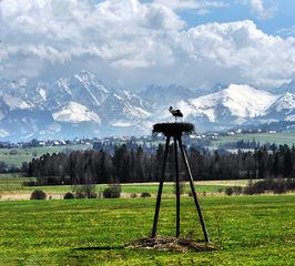 Скоро весна