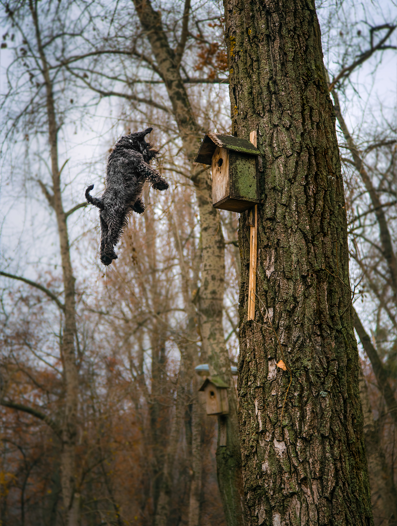 Уже улетели