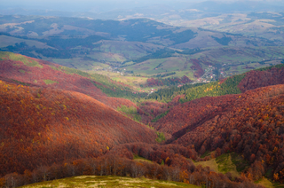 Кольорова Боржава