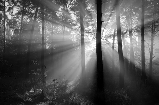 Геометрія світла