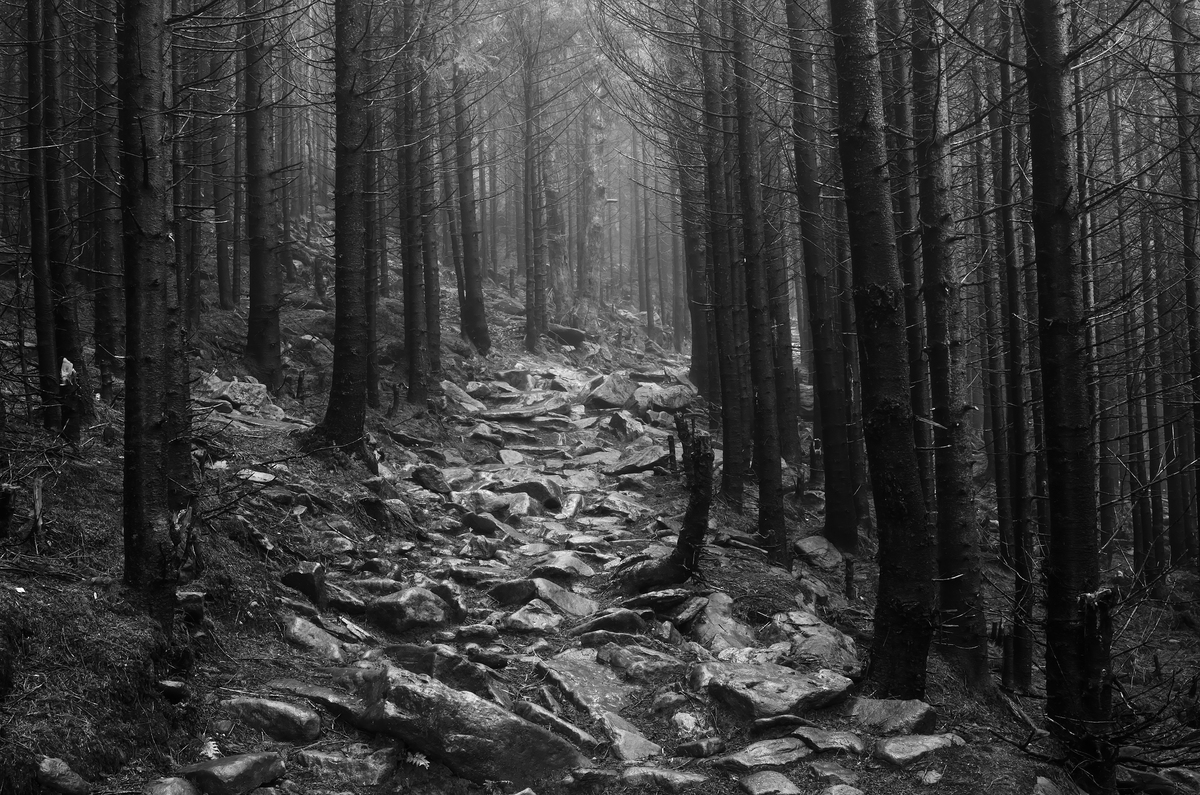 Кам'яна стежка