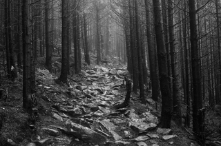 Кам'яна стежка