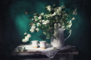 Натюрморт для двох