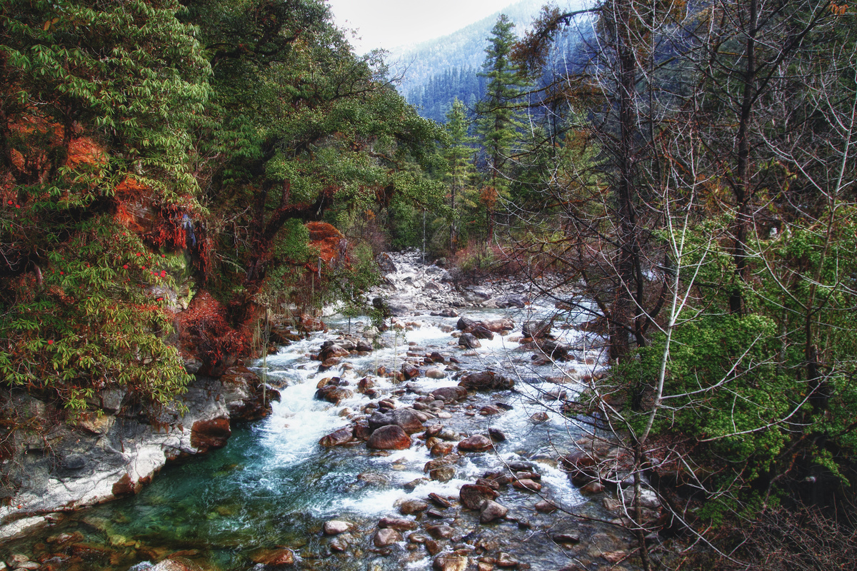 Ріка Ван Чу, Бутан