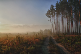 Вересневий ранок