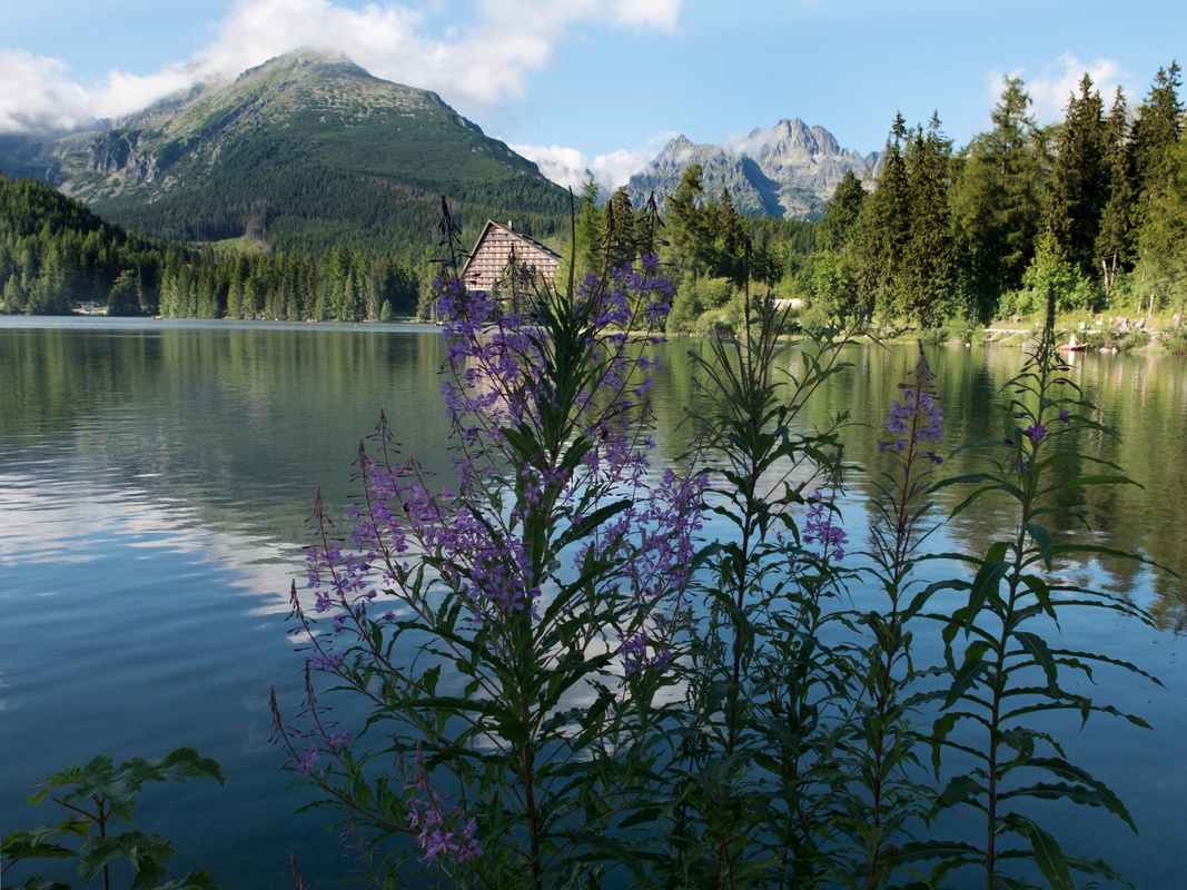 Výsoké Tatry