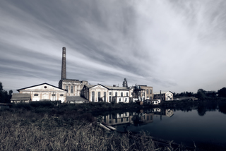 The voice of the nineteenth century