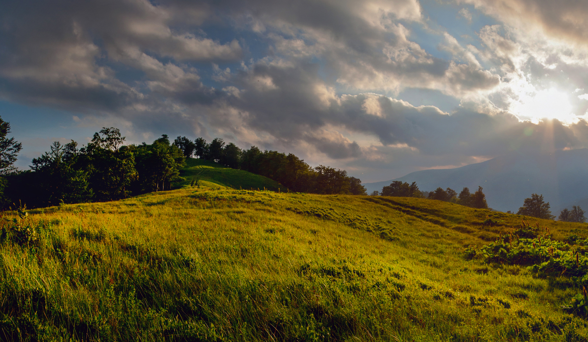 Вечір на полонині