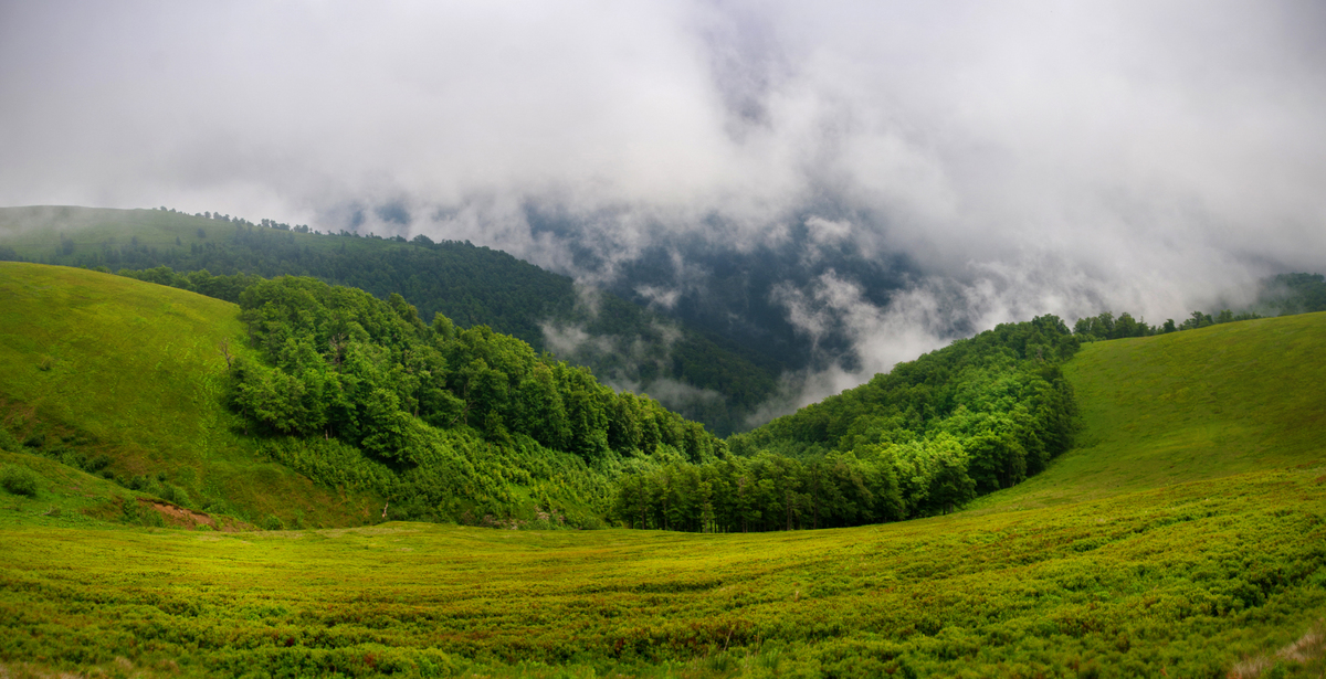 Гуляють хмари