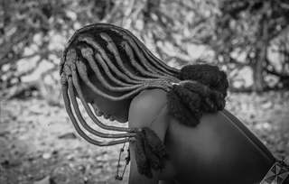 Himba profile