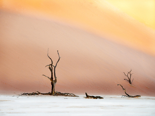 Evening in Deadvlei