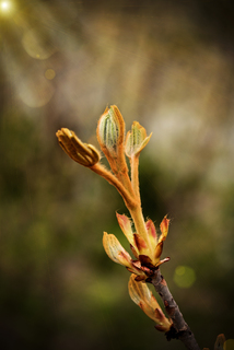 Вітаю сонце!