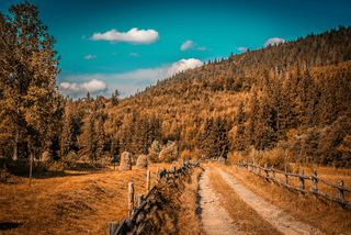 Золоті Карпати