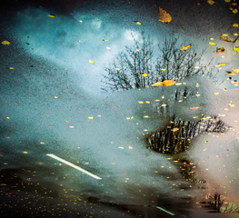 Вікно в осінь