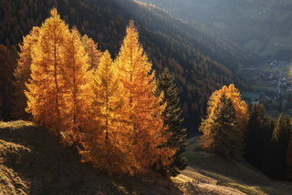 Осенние лампы