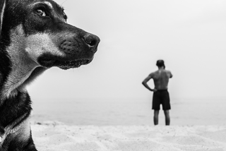 Без названия