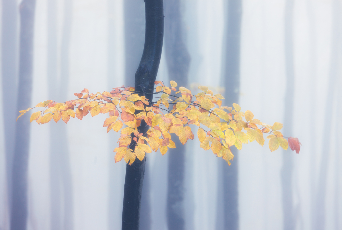 Осінній танок