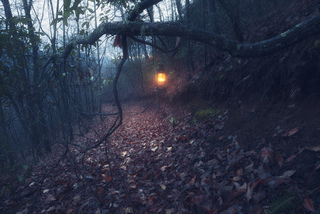 Іди за світлом