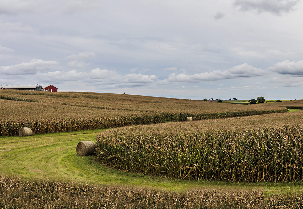 Nebraska hay 3
