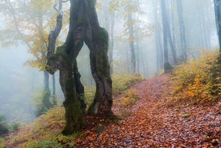 Портал у осінь